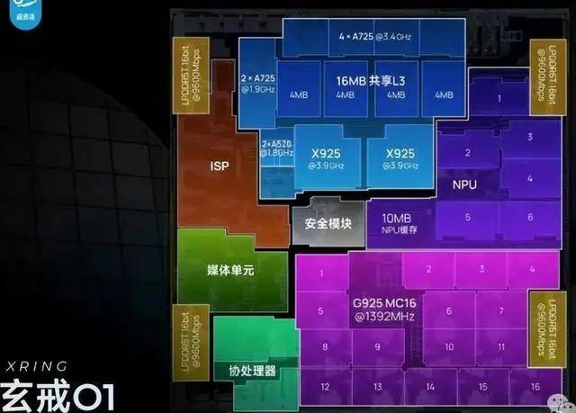 郑州走失的金刚鹦鹉被寻回 智力相当于两三岁儿童